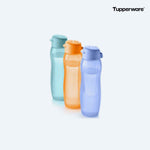 Bild in den Galerie-Viewer laden, EcoEasy Trinkflasche 750ml Trio