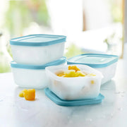 IJskristalset 450 ml (4 stuks)
