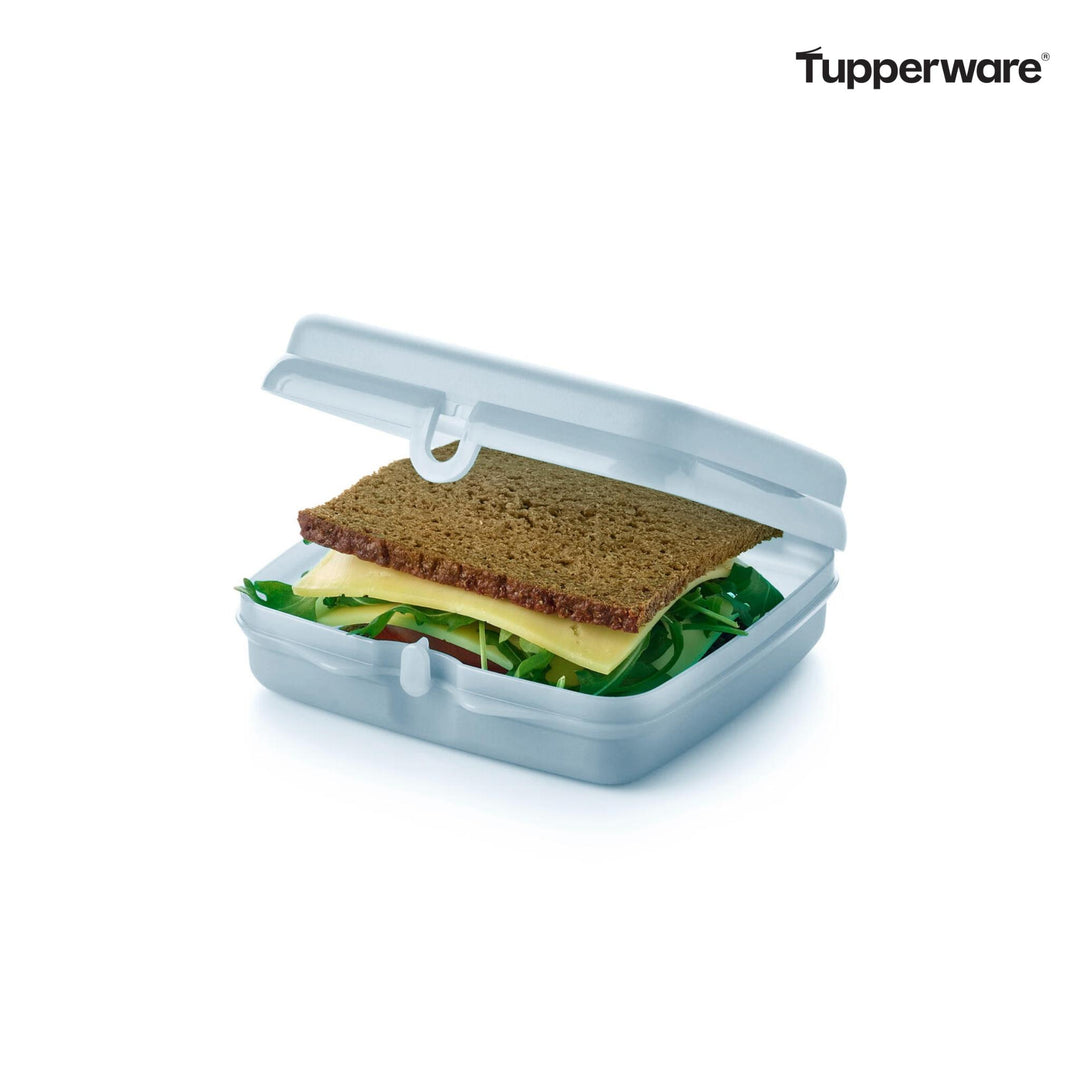 Eco+ Sandwichbox hellblau