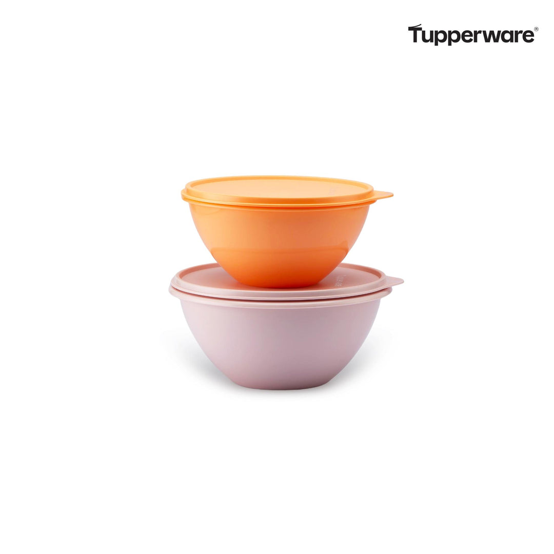 Kleiner Wunderschüsselsatz Tupperware